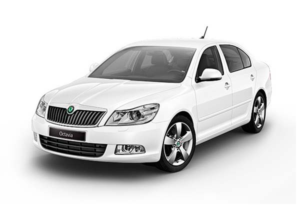 EVA-коврики для Skoda/Шкода - любые модели и года выпуска