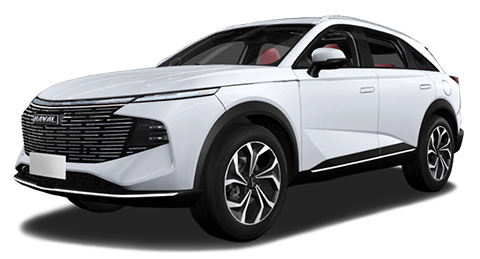 EVA-коврики для Haval/Хавал - любые модели и года выпуска